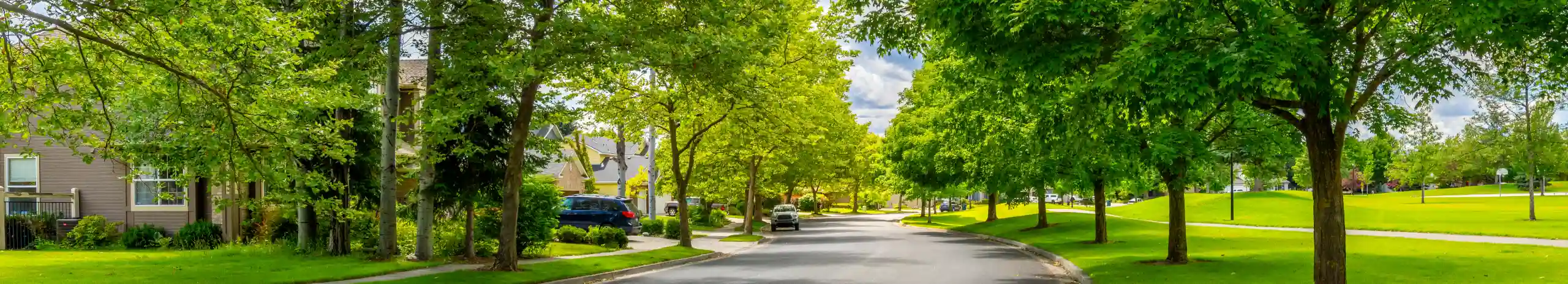 Suburban street in Gresham OR lined with vibrant, lush green trees and well-kept lawns