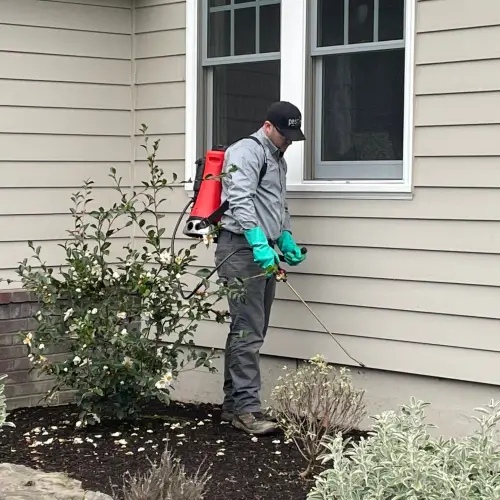 Pest Plus technician treating the yard of a residential home in Gresham Butte OR