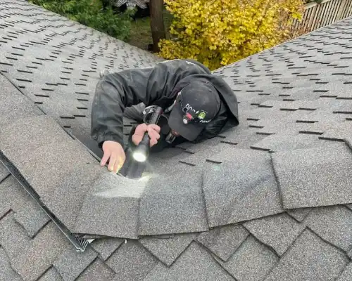 Pest Plus technician searching a roof tile as part of wildlife exclusion processes.